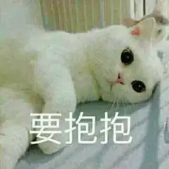  表情教你怎么向男友要零花钱