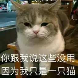  让人感慨的不止是他十几年没变过的脸,还有真正正正的零差评体质