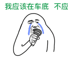  抖音动态歌词表情包谁有抖音动态歌词表情包分享