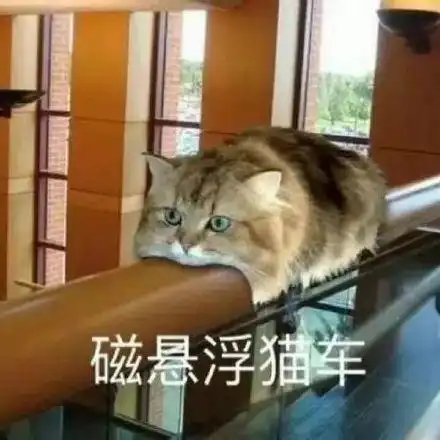  可爱喵星人表情包