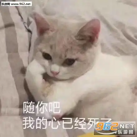  跟我走吗我混社会养你表情包图片随你吧我的心已经死了表情包下载乐游网游戏下载