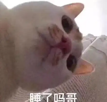 斗图吗我有万能表情包