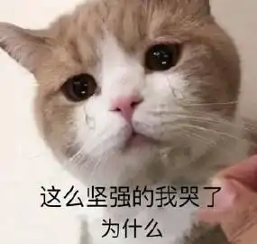 告辞表情包什么意思连击