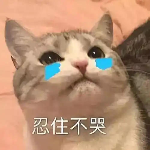  再降10也能穿成超模腿,这条裤子太遮肉了