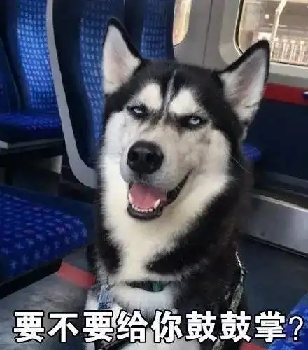 舌吻表情包动漫二哈