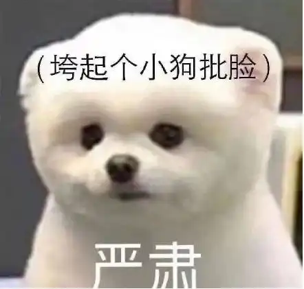  家长到书店购买教辅书,结果只有两家店有售,网友全国都这样