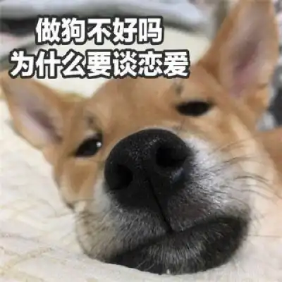 单身狗证表情包幽默笑话