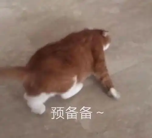  热门表情包拿图片nice,眼睁睁的看着你做坏事
