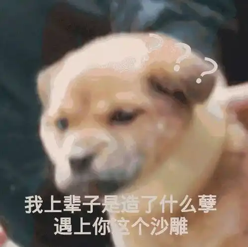  表情包今日份斗图库