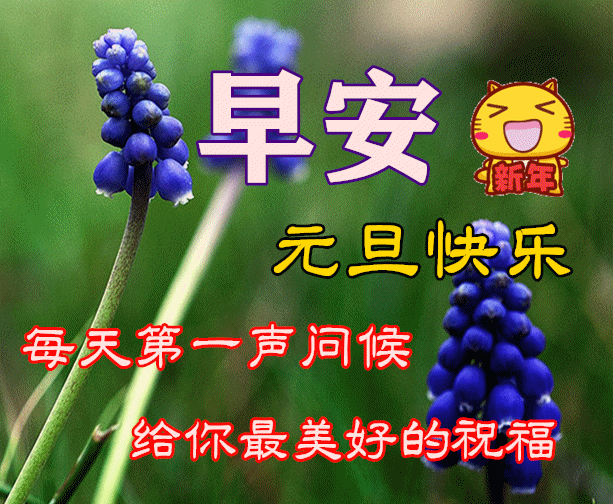  2022年1月1日元旦早上好问候祝福动态表情图片大全2022最新早安问候语动态图片表情