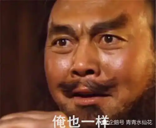 igtheshy表情包破马张飞