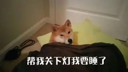  表情包家猫家狗,都有一颗成精的心