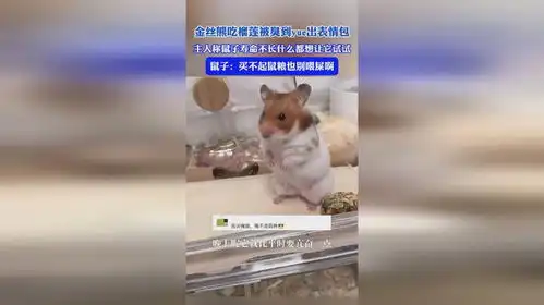  金丝熊吃榴莲被臭到yue出表情包鼠子买不起鼠粮也别喂屎啊