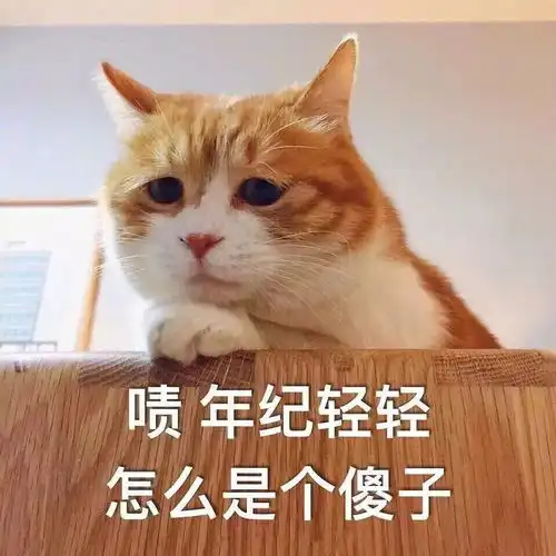  表情包年纪轻轻怎么是个傻子