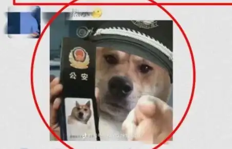  发了这个表情包后,宁夏一男子被拘9日