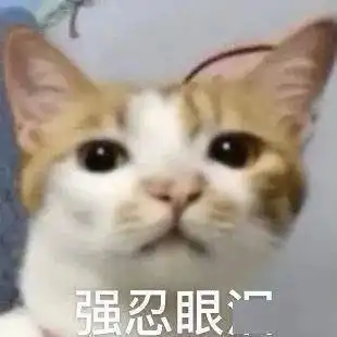  沙雕表情我懂了我是你可有可无的网友