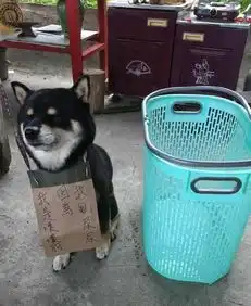  姿势摆的不错,就是不知道技术如何