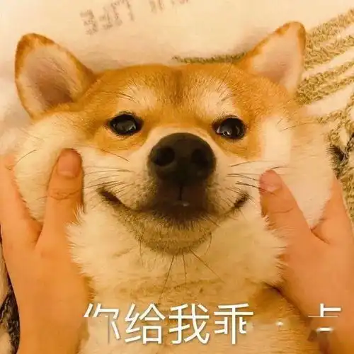  抖音热门表情包