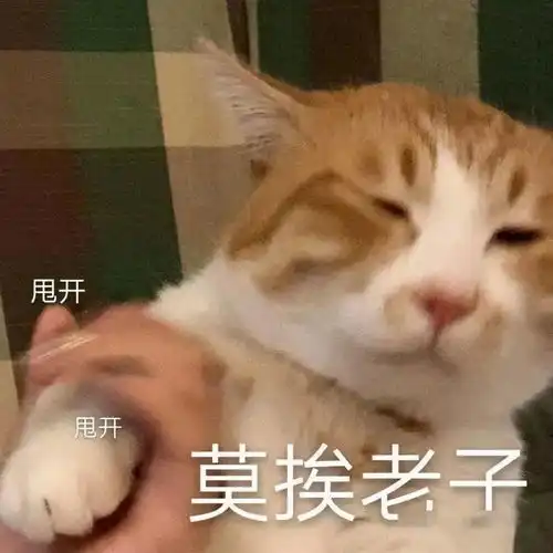  表情包聚集地第16期