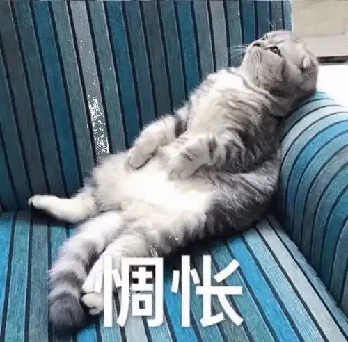 可爱猫咪表情包斗图专用