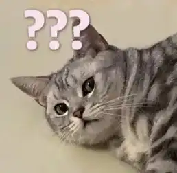 全新猫咪斗图表情包来啦