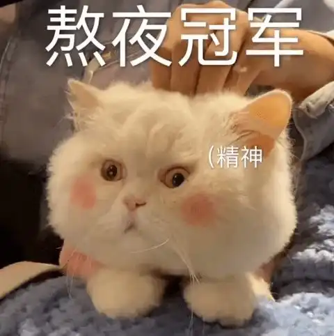  猫咪表情包我是莫得感情的杀手