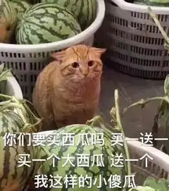  为啥东北人爱说大