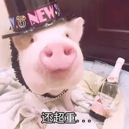  你有什么优点呀