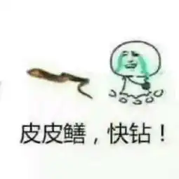  黄鳝门表情包黄鳝,我们走小姐姐带你去个好地方