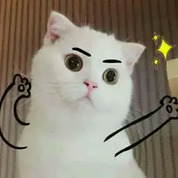 别低头,双下巴会出来