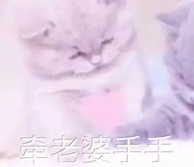  软妹子表情包你是要讲理还是要我