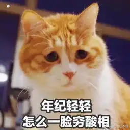  这些表情包流行语,你没用过算我输