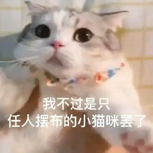  天然的pua人格存在吗