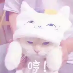  不惧冬日挑战美丽进行到底