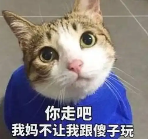 你不要走表情包头像