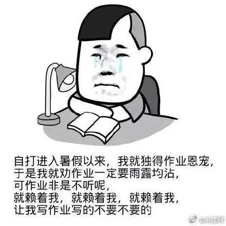 写作业崩溃表情包
