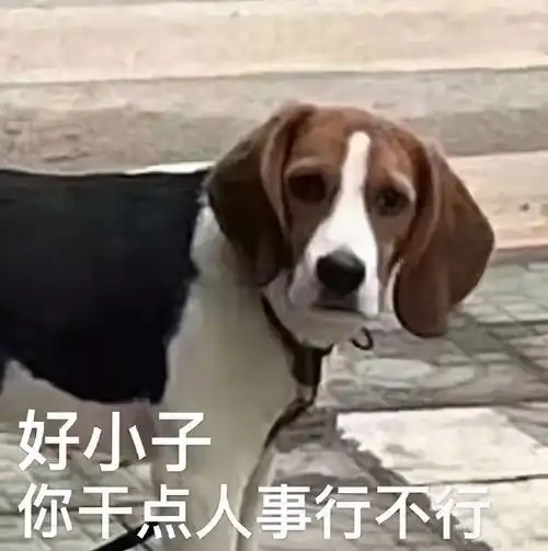  咸猪手段誉喜欢多人运动翻车男脚踏六只船