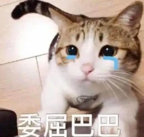 关于委屈的表情包不行,我受不了这委屈