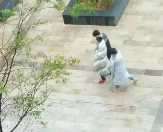 披被子的图片表情包昆明