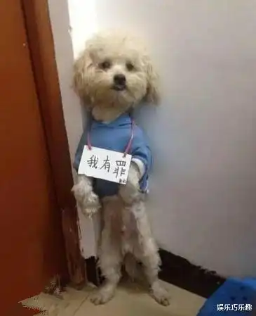  一个人可以有钱到什么境界有钱到骨子里哈哈哈哈图中才是亮点