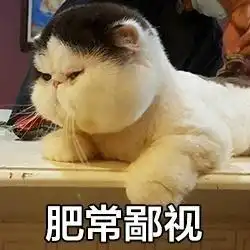  胖猫咪表情包这不是胖,这是幸福肉