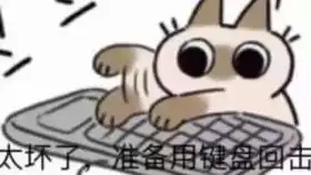  记录一下自己的菜鸡操作心层麻酔大触难度