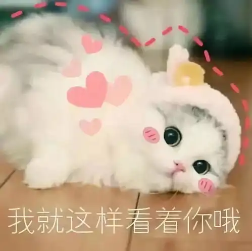  头条下半年你的钱包准备好了吗