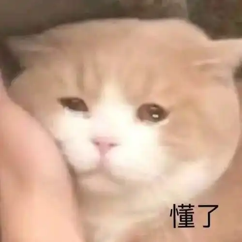  表情包可爱丨你也不是什么好东西