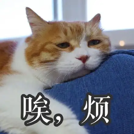  丧猫表情包高清无水印版