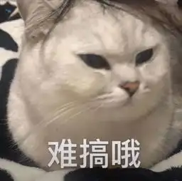 太难了表情包小女孩猫咪