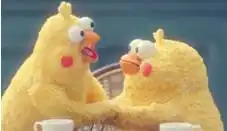 微信举手表情包鹦鹉兄弟