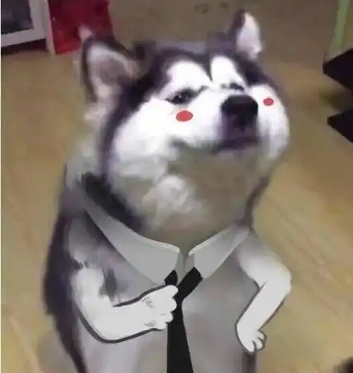  战歌竞技场关键词是好朋友就来和我一起下棋