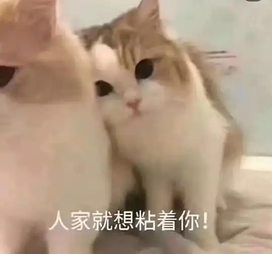  北平的相册可爱的表情包就是坠吊的