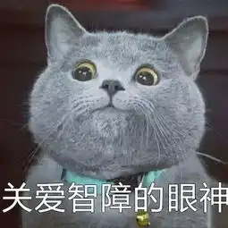  网红猫系列表情包